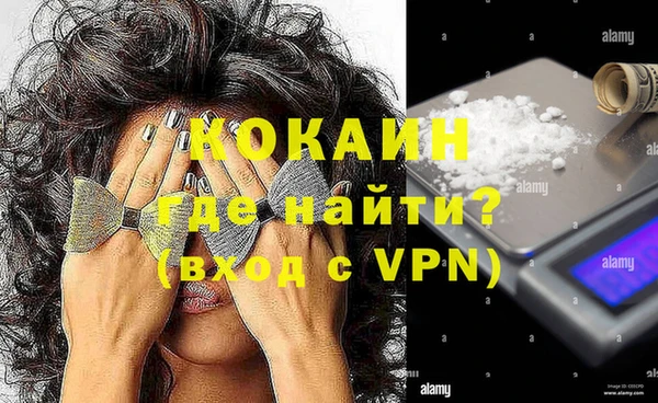 ешки Новодвинск